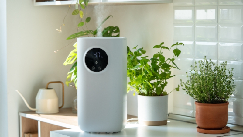 Ovlaživač vazduha sa digitalnim prikazom vlažnosti stoji na komodi pored sobnih biljaka u svetlom stanu